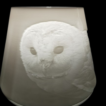 Barn Owl Table Lampshade