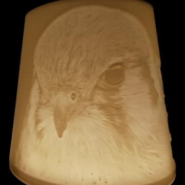 Kestrel Table Lampshade